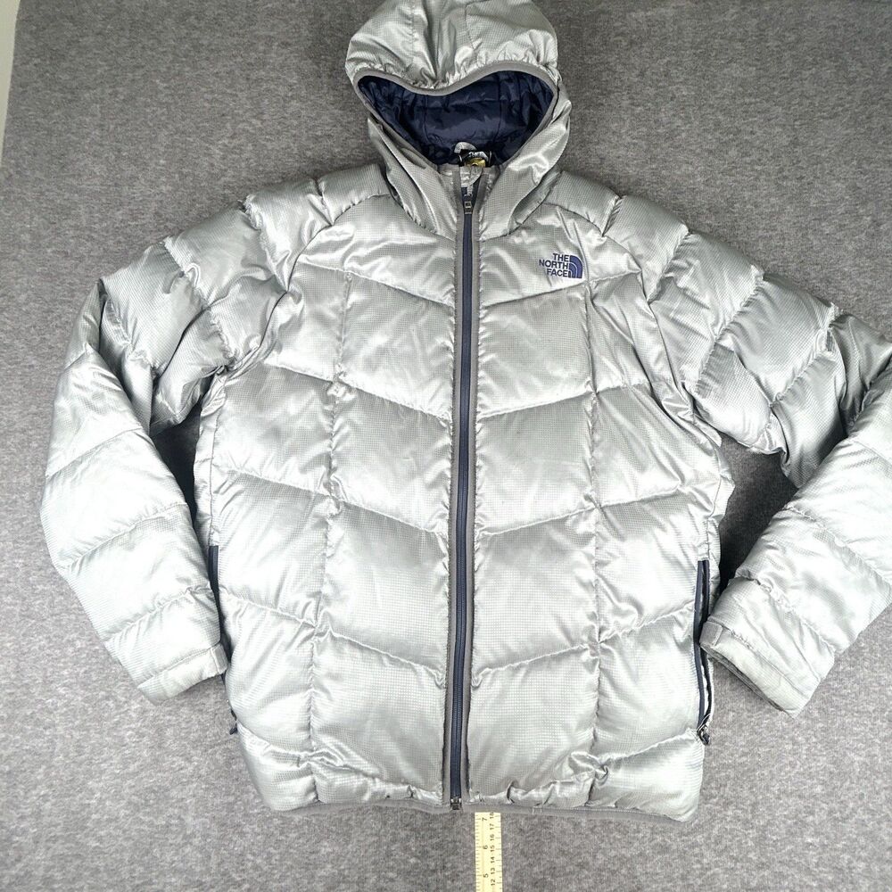The North Face Gatebreak 550 Down Puffer Jacket Mens Sz L Silver Metallic Ski